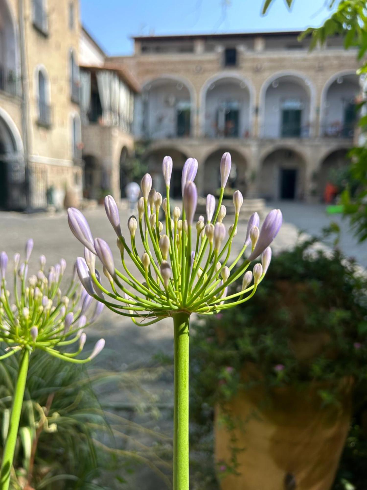 Palazzo Capece Apartment Caivano Bagian luar foto